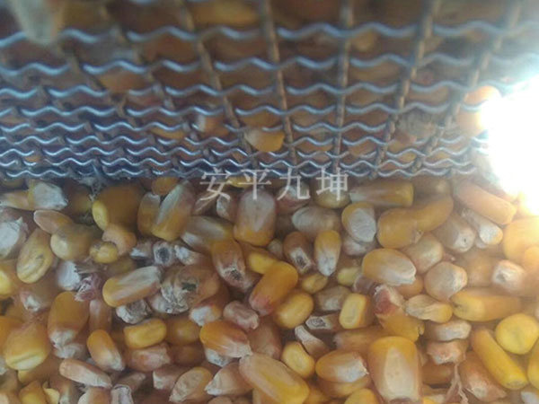 玉米晾晒仓案例展示图片1